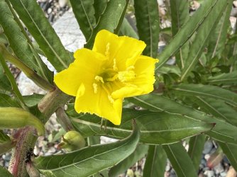 IMG_0502.jpeg IMG_0502.jpeg