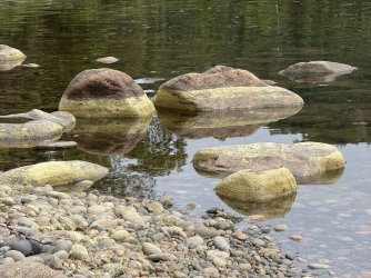 IMG_0500.jpeg IMG_0500.jpeg