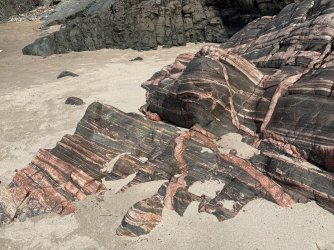 IMG_0423.jpeg IMG_0423.jpeg