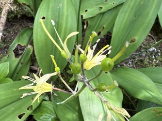 IMG_0430.jpeg IMG_0430.jpeg