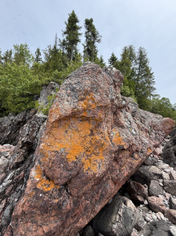 Screenshot 2025-07-17 at 5.49.47 PM.png Screenshot 2025-07-17 at 5.49.47 PM.png