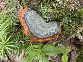 IMG_0644.jpeg IMG_0644.jpeg