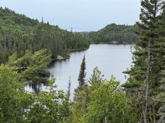 IMG_0560.jpeg IMG_0560.jpeg