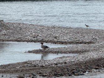 IMG_0666.jpeg IMG_0666.jpeg