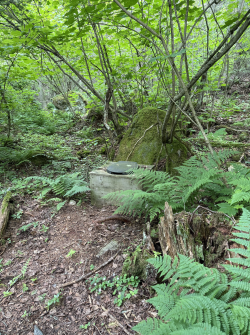 Screenshot 2025-07-17 at 6.08.20 PM.png Screenshot 2025-07-17 at 6.08.20 PM.png