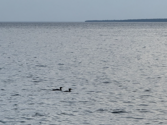 Screenshot 2025-07-17 at 6.08.08 PM.png Screenshot 2025-07-17 at 6.08.08 PM.png