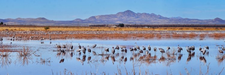 AC201838 Panorama 2.jpeg