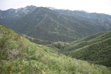 16.jpg 16.jpg