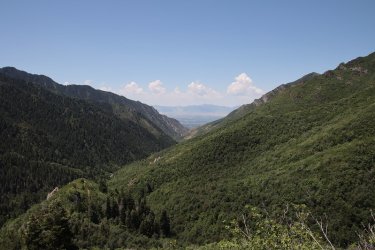 65.jpg 65.jpg