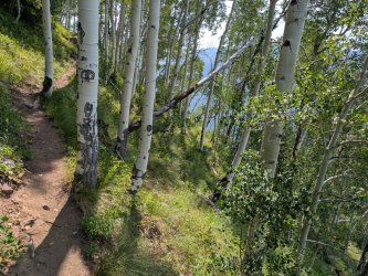 PXL_20250716_174741021.jpg PXL_20250716_174741021.jpg