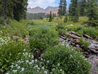 PXL_20250716_195152083.jpg PXL_20250716_195152083.jpg