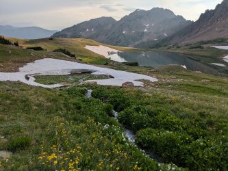 PXL_20250717_011149131.jpg PXL_20250717_011149131.jpg