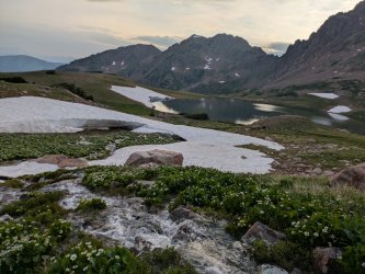 PXL_20250717_013431339.jpg PXL_20250717_013431339.jpg