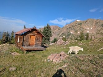 PXL_20250717_140549070.jpg PXL_20250717_140549070.jpg