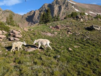 PXL_20250717_141031138.jpg PXL_20250717_141031138.jpg