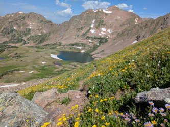 PXL_20250717_162216130.jpg PXL_20250717_162216130.jpg