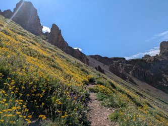 PXL_20250717_162530086.jpg PXL_20250717_162530086.jpg