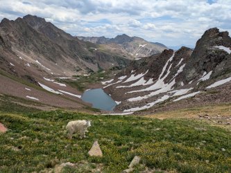 PXL_20250717_184836242.jpg PXL_20250717_184836242.jpg