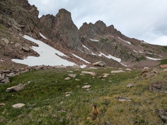 PXL_20250717_195017479.jpg PXL_20250717_195017479.jpg