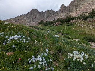 PXL_20250717_204806089.jpg PXL_20250717_204806089.jpg