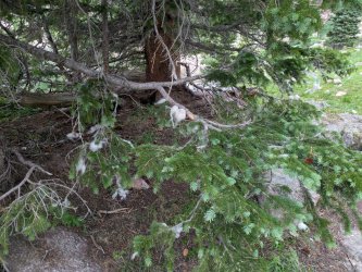 PXL_20250717_215813182.jpg PXL_20250717_215813182.jpg