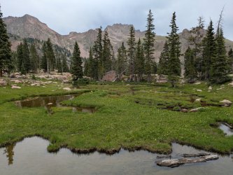 PXL_20250717_221032247.jpg PXL_20250717_221032247.jpg