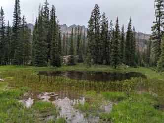 PXL_20250717_232118404.jpg PXL_20250717_232118404.jpg