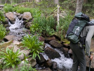 PXL_20250717_233155885.jpg PXL_20250717_233155885.jpg