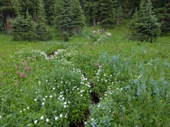 PXL_20250717_235011869.jpg PXL_20250717_235011869.jpg