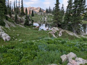 PXL_20250718_131032649.jpg PXL_20250718_131032649.jpg