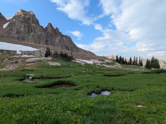 PXL_20250718_131643392.jpg PXL_20250718_131643392.jpg