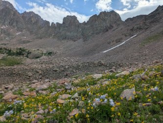 PXL_20250718_144807199.jpg PXL_20250718_144807199.jpg