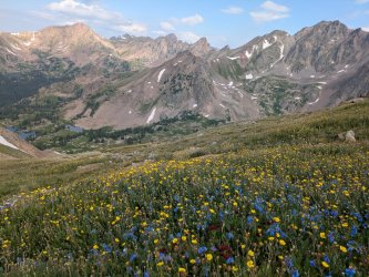 PXL_20250718_153045633.jpg PXL_20250718_153045633.jpg