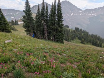 PXL_20250718_192444974.jpg PXL_20250718_192444974.jpg