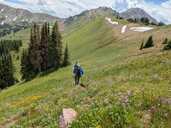 PXL_20250718_194946298.jpg PXL_20250718_194946298.jpg