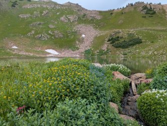 PXL_20250718_203604076.jpg PXL_20250718_203604076.jpg