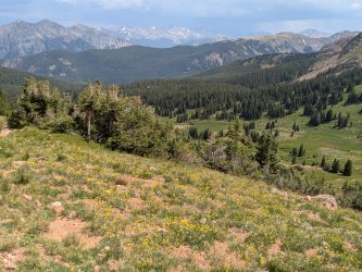 PXL_20250718_212741889.jpg PXL_20250718_212741889.jpg