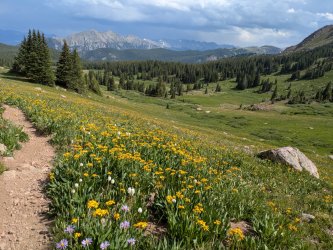 PXL_20250718_215518055.jpg PXL_20250718_215518055.jpg