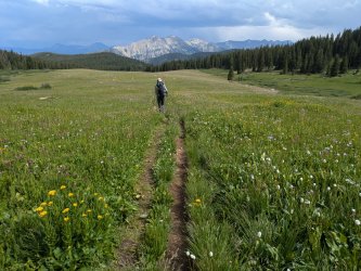 PXL_20250718_220401840.jpg PXL_20250718_220401840.jpg