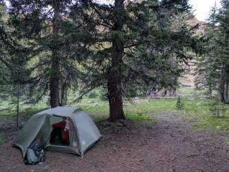 PXL_20250719_120538791.jpg PXL_20250719_120538791.jpg