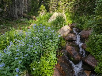 PXL_20250719_125200222.jpg PXL_20250719_125200222.jpg