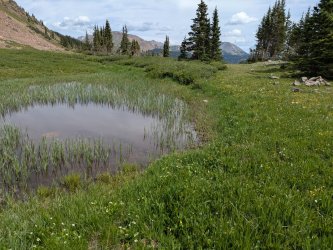 PXL_20250719_171333967.jpg PXL_20250719_171333967.jpg