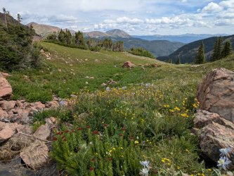 PXL_20250719_172455587.jpg PXL_20250719_172455587.jpg