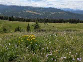 PXL_20250719_202431309.jpg PXL_20250719_202431309.jpg