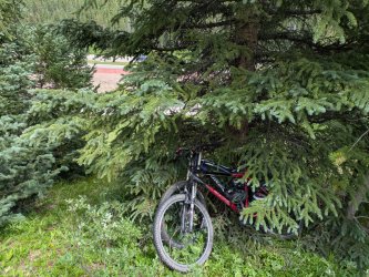 PXL_20250719_212119590.jpg PXL_20250719_212119590.jpg