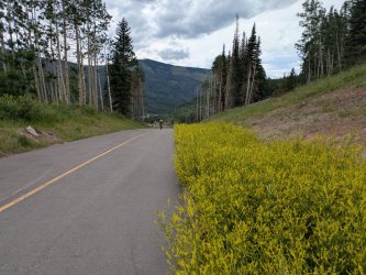 PXL_20250719_221723326.jpg PXL_20250719_221723326.jpg