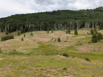 PXL_20250719_222512440.jpg PXL_20250719_222512440.jpg