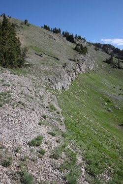 05.jpg