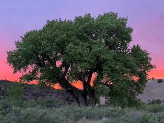 IMG_4973.jpeg