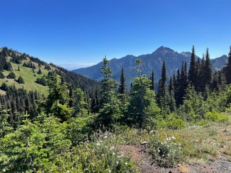 IMG_9107.jpeg IMG_9107.jpeg